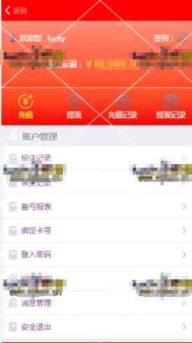 杏彩二开天亿娱乐PHP彩票盘口界面看得很大气插图7