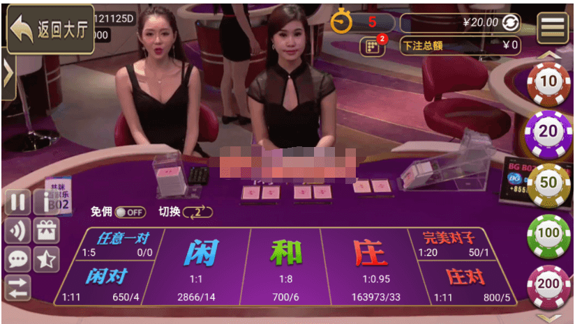 【老冬瓜源码】全网最新更新真人视讯百家通用互转棋牌+完美运营+完整数据插图15