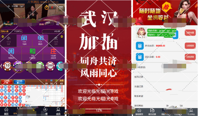 真人视讯百家无需公众号直接登录+已对接支付插图1